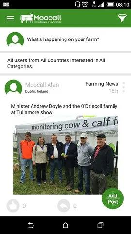 The community feed