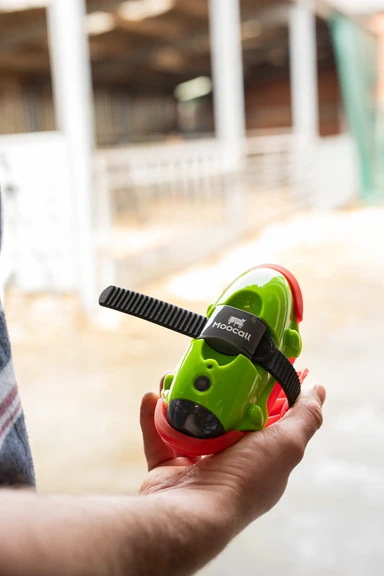 A hand holding the Moocall sensor, ready to switch it on