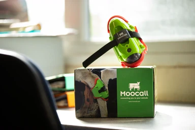 The Moocall sensor and its box on a table, ready to set up before the season starts