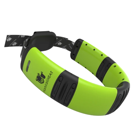 Moocall HEAT Collar