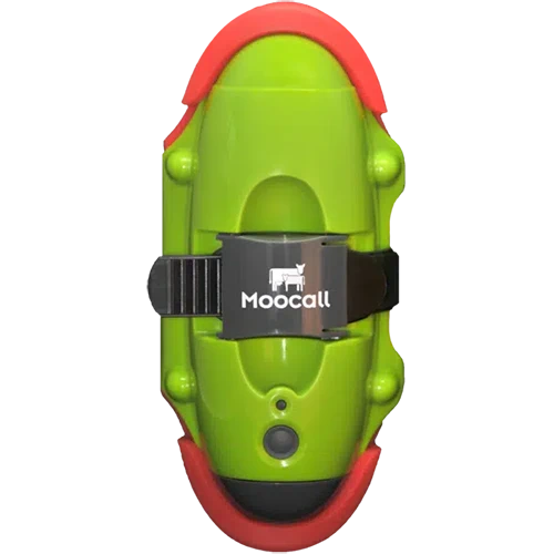 Moocall Calving Sensor