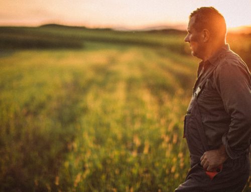 Health and Safety for Farmers During Calving Season