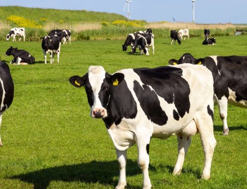 The Real Cost of Farming in 2025