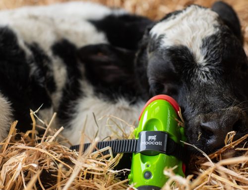 Embracing the Future of Farming Technology