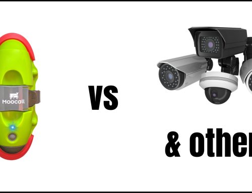 Moocall Sensor vs Cameras & Other Solutions