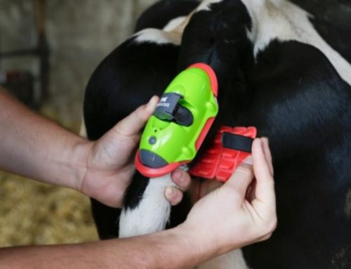 Save Time and Money with Moocall
