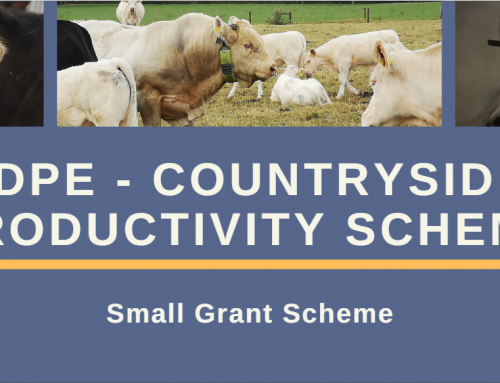 RDPE – Countryside Productivity Scheme – Small Grant Scheme