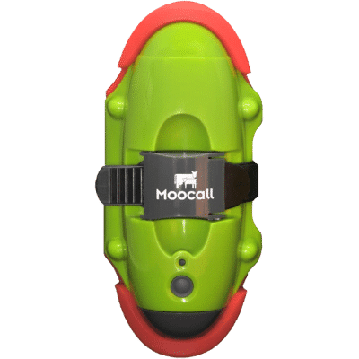 Moocall Calving Sensor