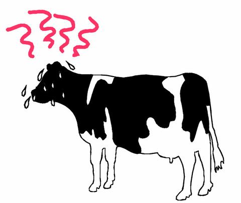 heat-stress-cow-dairy